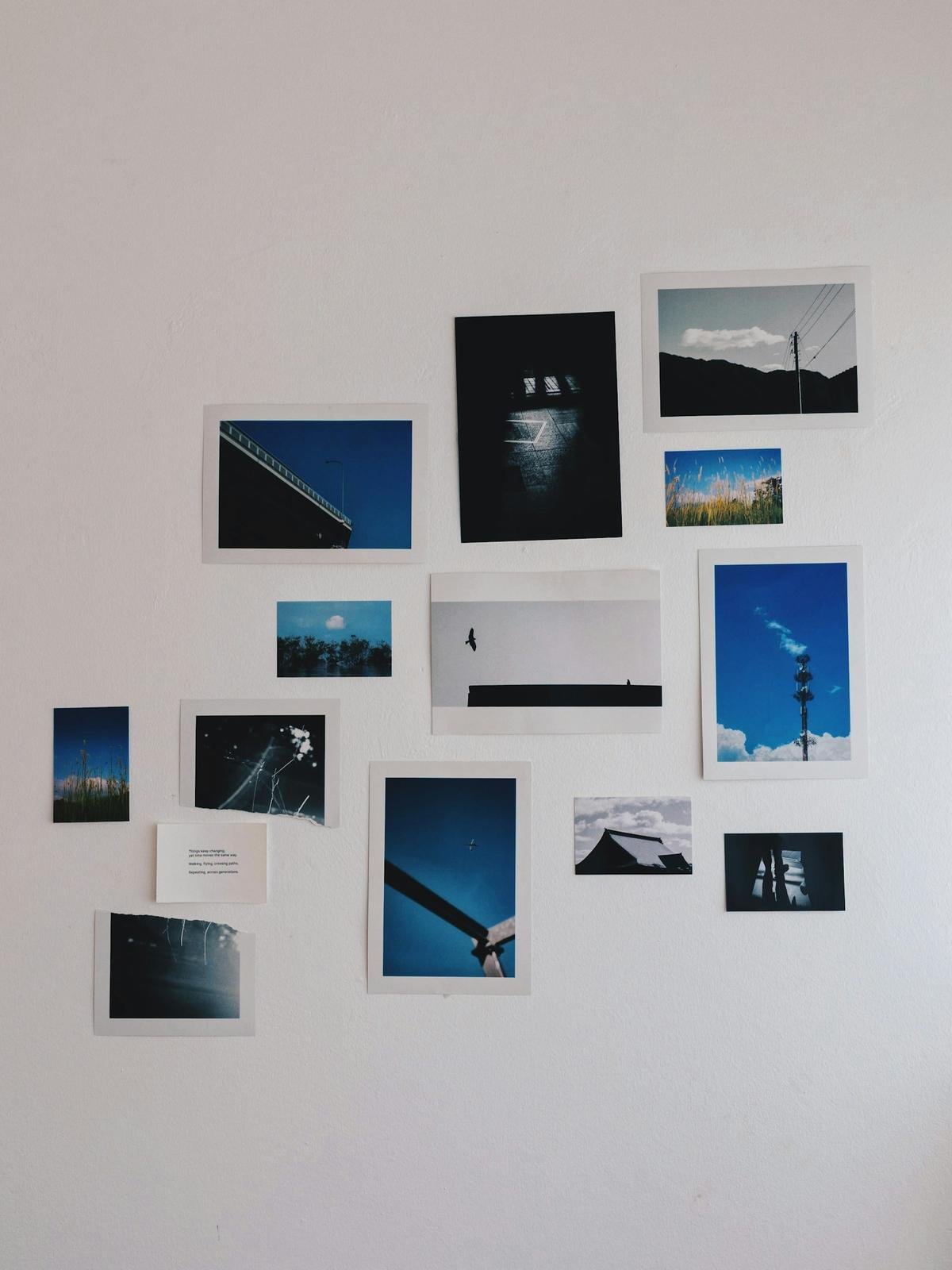 Gallery wall of photographic prints